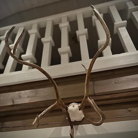 Reindeercabin Poromoekki Levi