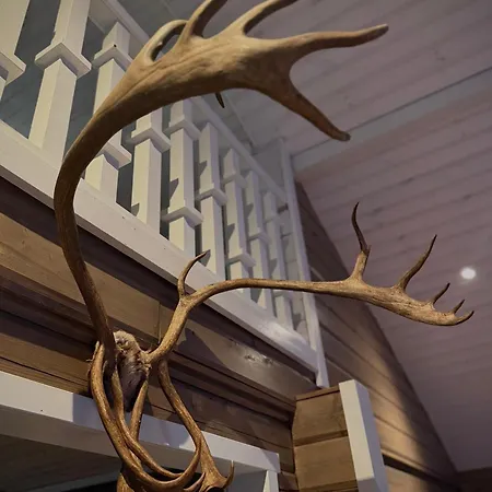 Reindeercabin Poromoekki Levi Киттиля