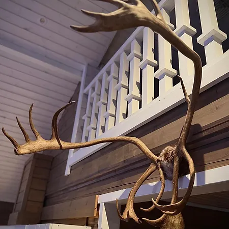 Reindeercabin Poromoekki Levi Σαλέ